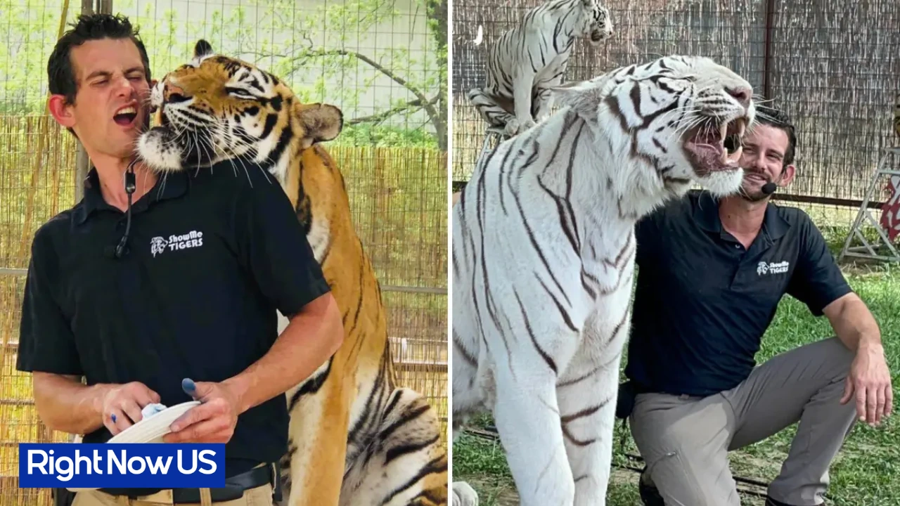 Caretaker Killed in Tiger Accident at Oklahoma Wildlife Preserve